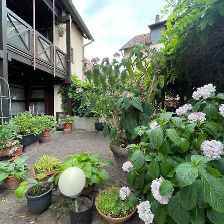 Apartment Gerberbachviertel Weinheim Extérieur photo