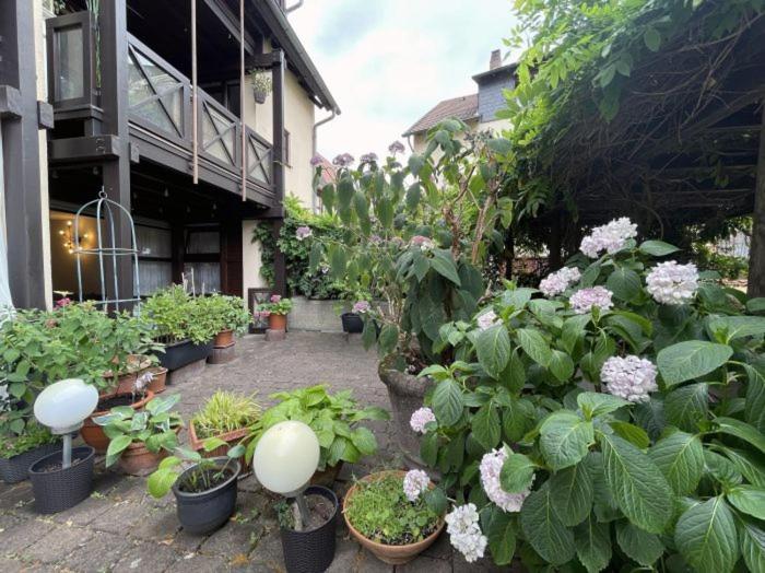 Apartment Gerberbachviertel Weinheim Extérieur photo